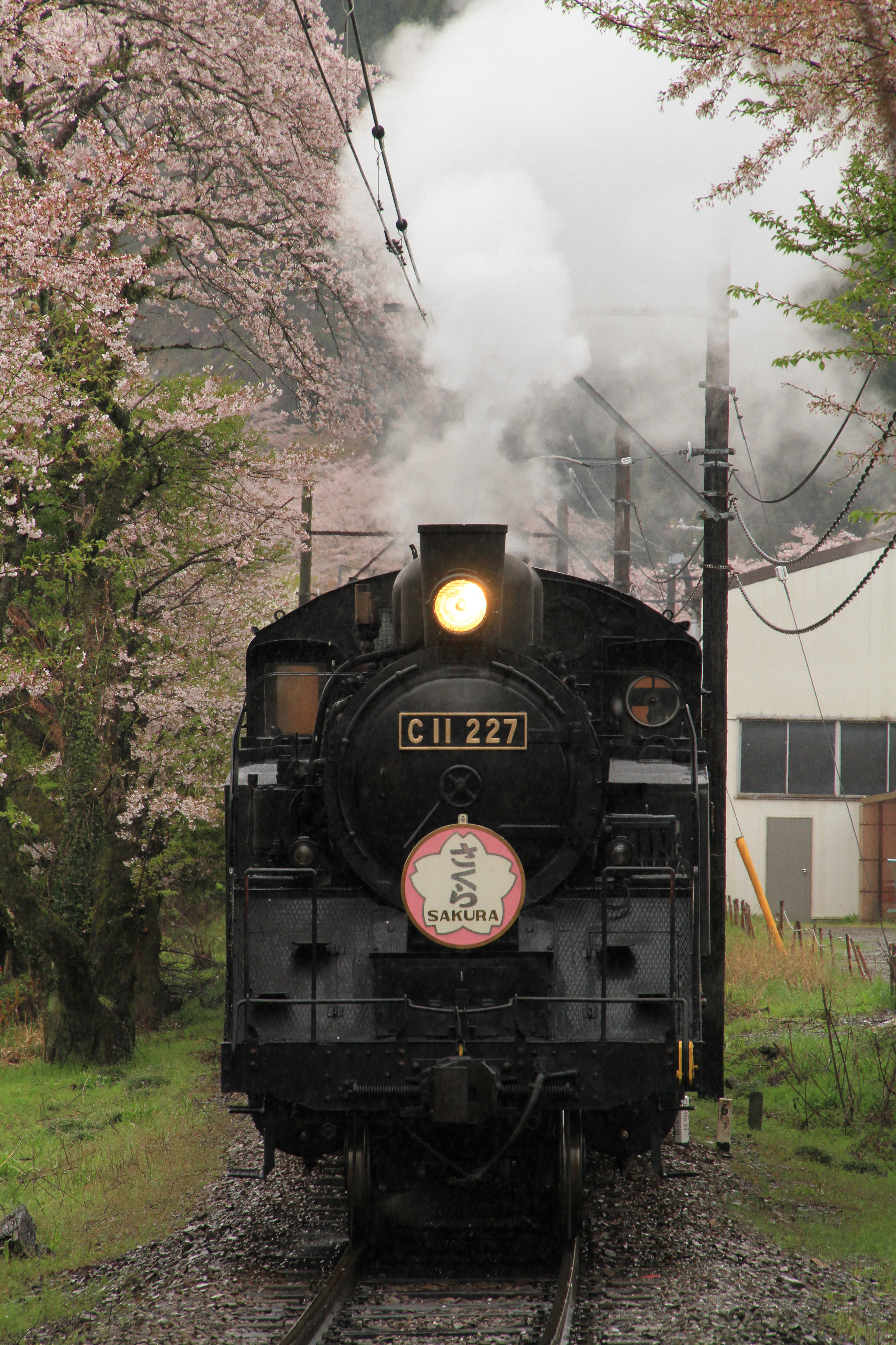 新品正規店ライブスチーム C11 227 蒸気機関車 車輪幅5cm 鉄道模型 ジャンク 直 Y6274221 その他