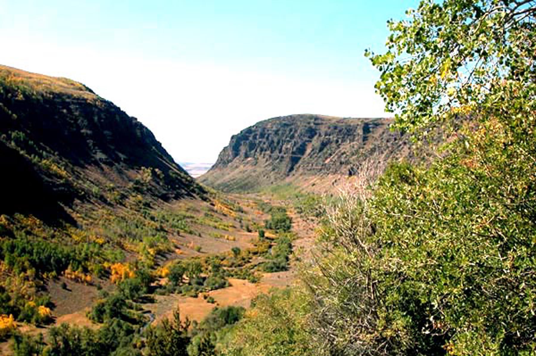 Photo of Little Blitzen River