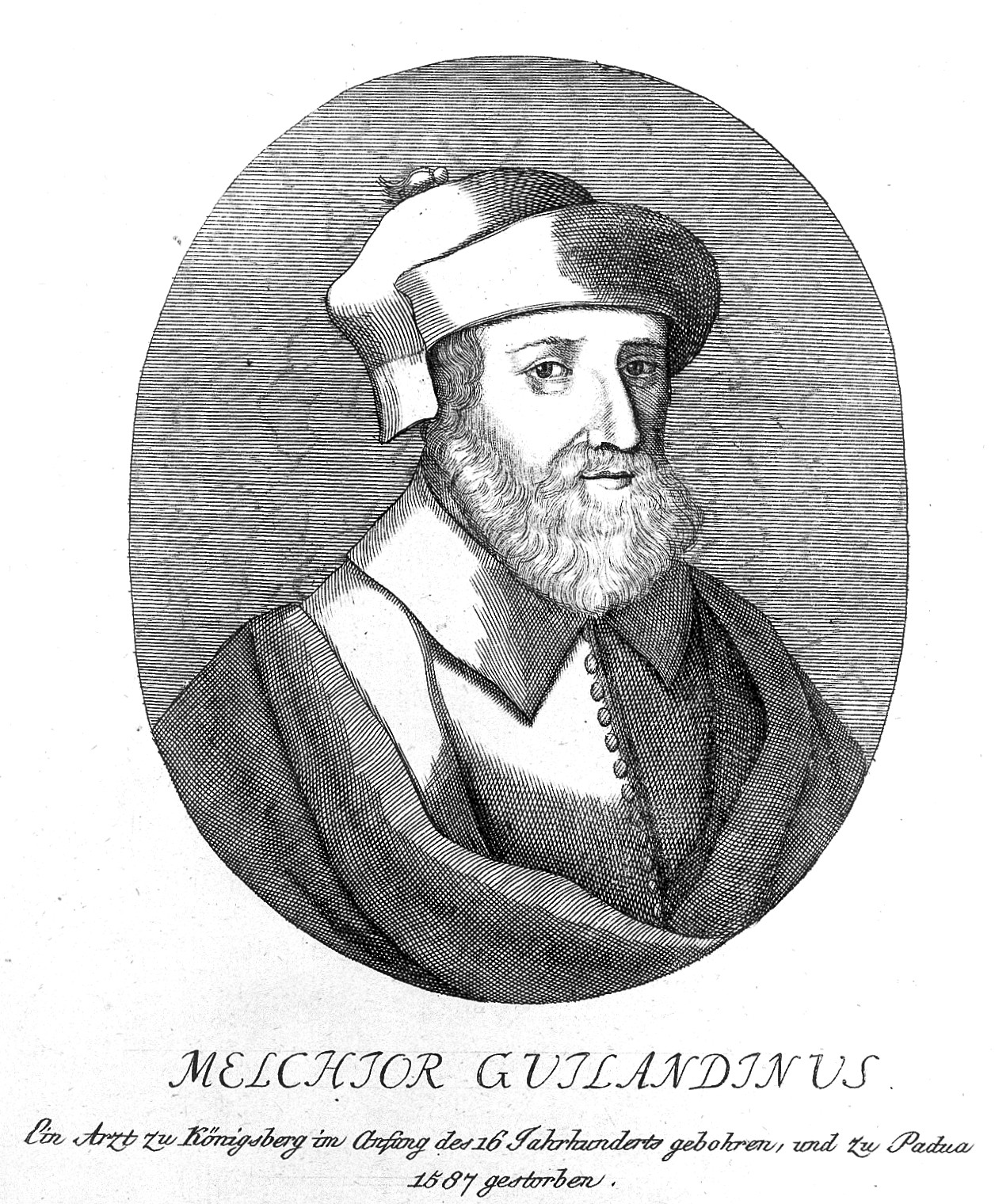 Portrait de Melchior Wieland (Melchior Guilandinus), préfet du jardin botanique de Padoue