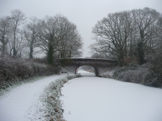 File:Mid Devon , The Grand Western Canal and Manley Bridge - geograph.org.uk - 1650387.jpg