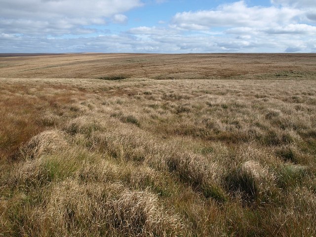 File:Near Langcombe Hill - geograph.org.uk - 1514122.jpg