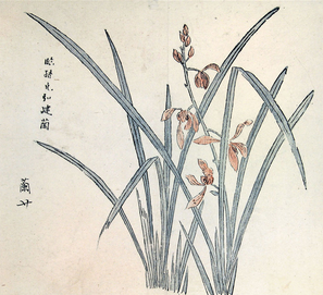 File:Orchid - Hu Zhengyan.PNG