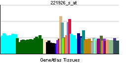 File:PBB GE IL17RC 221926 s at tn.png