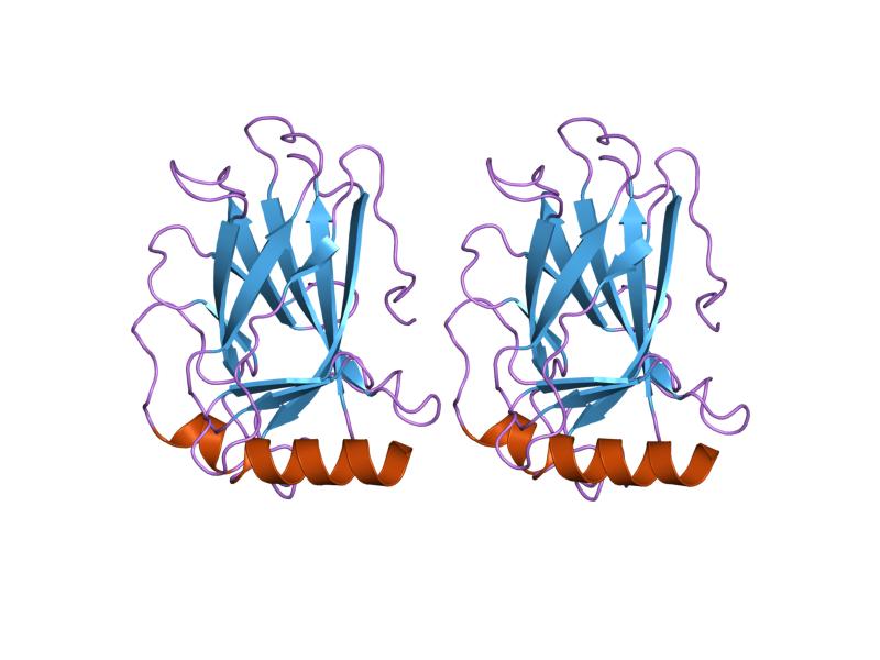 File:PDB 1uol EBI.jpg