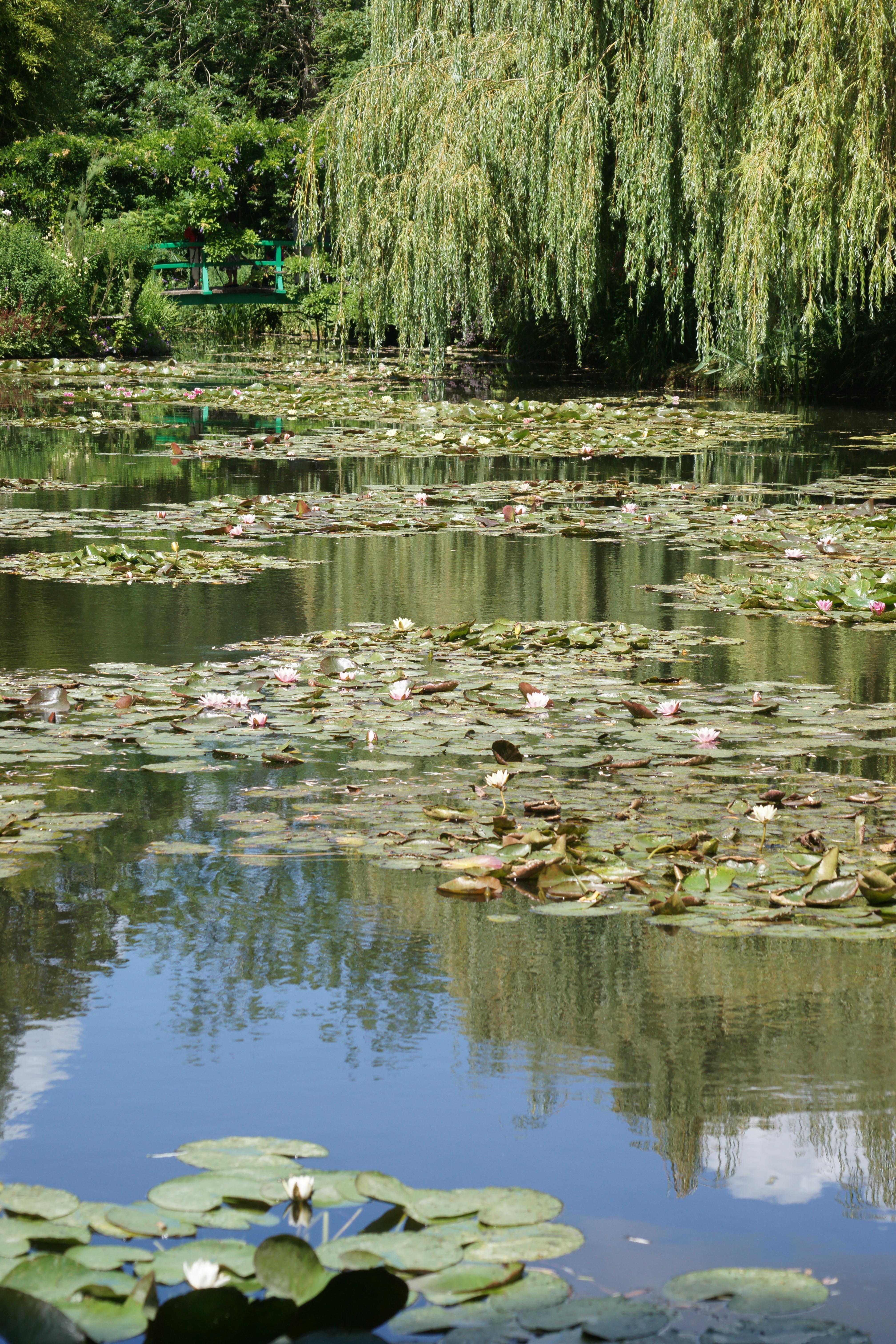 Giverny - Wikiwand