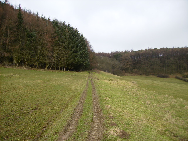 File:Public access route up into Broxa Forest - geograph.org.uk - 337431.jpg