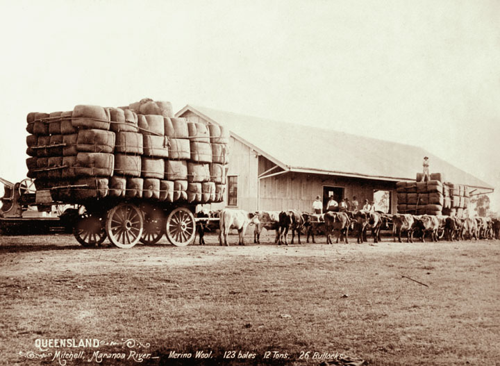 File:Queensland State Archives 5118 Mitchell Maranoa River Merino Wool 123 bales 12 tons 26 bullocks c 1897.png