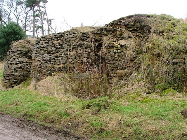 File:Ruined Limekilns - geograph.org.uk - 117699.jpg