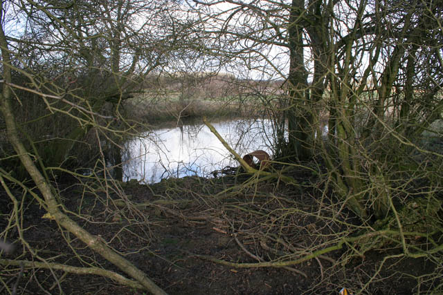 File:Small pond near Eaton Lodge Farm - geograph.org.uk - 674045.jpg