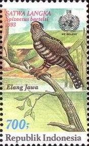 File:Stamp of Indonesia - 1993 - Colnect 252618 - Javan Hawk Eagle Spizaëtus bartelsi.jpeg