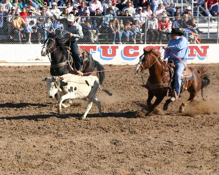 team roping basics