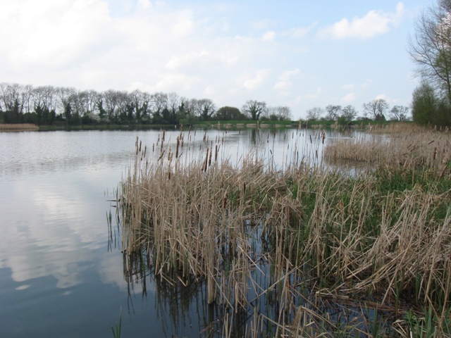 File:The Dam from near the Boathouse. Weston Turville Reservoir - geograph.org.uk - 1379131.jpg