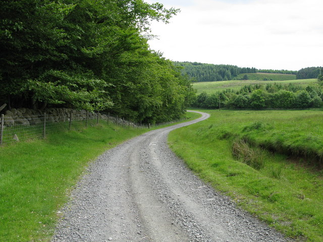 File:Track east of East Feal - geograph.org.uk - 1367594.jpg