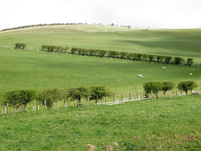 File:View to Whip Hill - geograph.org.uk - 411235.jpg