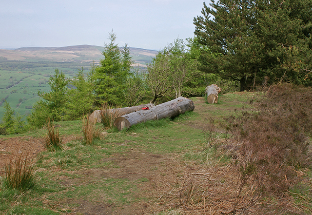 Viewpoint on Longridge Fell - geograph.org.uk - 449837