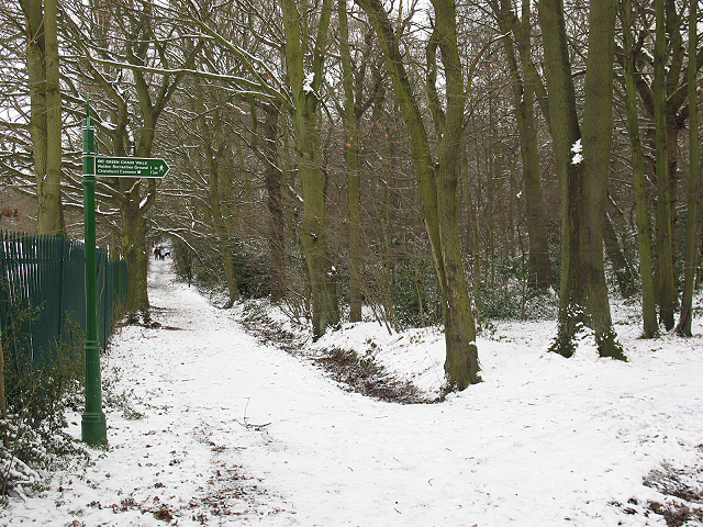 Winter in Elmstead Woods (2) - geograph.org.uk - 1655287