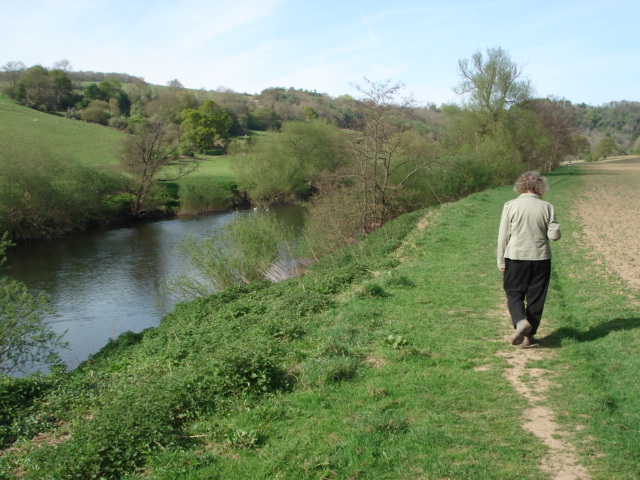 File:Wye Valley Walk - geograph.org.uk - 454828.jpg