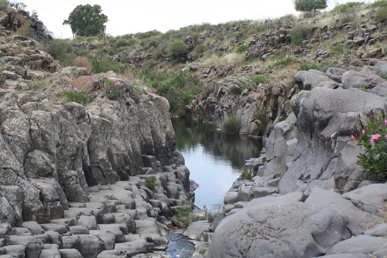 Jean & Nathalie (https://commons.wikimedia.org/wiki/File:Yehudiya_Nature_Reserve_(5727188907).jpg), „Yehudiya Nature Reserve (5727188907)“, https://creativecommons.org/licenses/by/2.0/legalcode