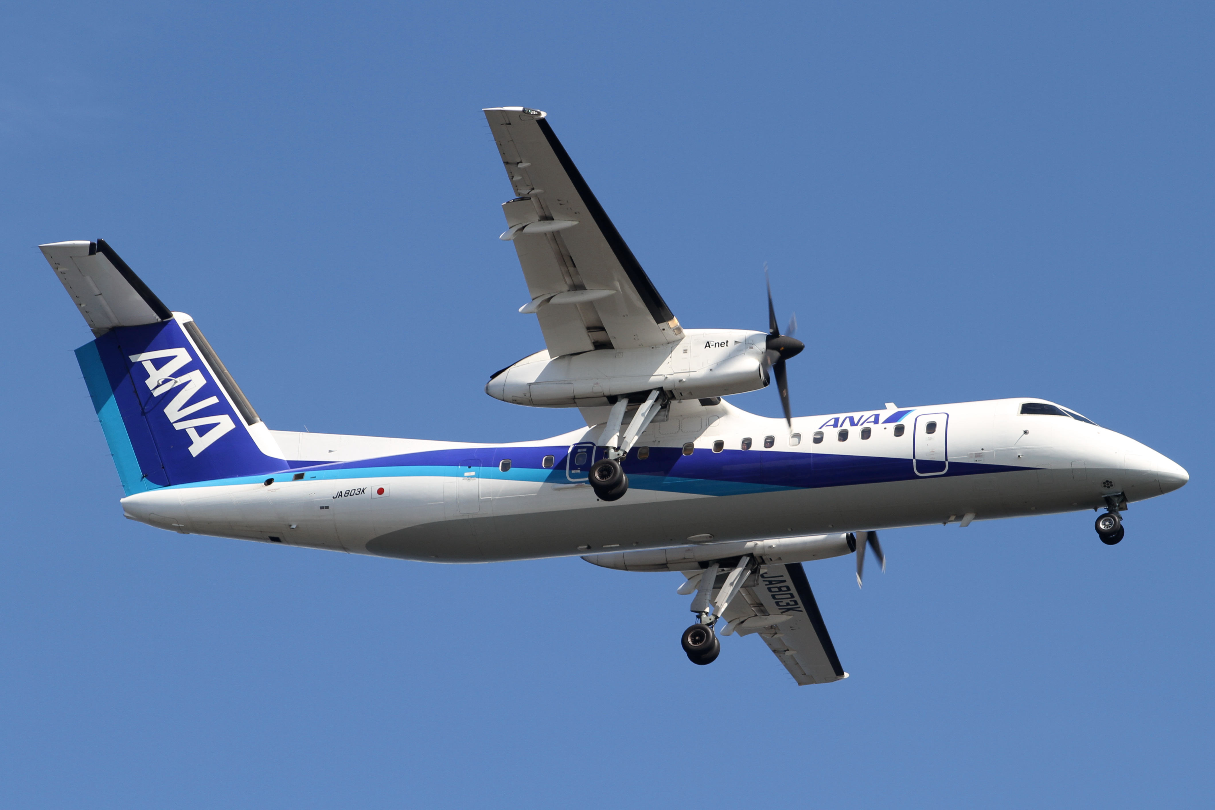 ファイル:ANA Bombardier DHC8-Q300(JA803K) - Flickr - Kentaro 