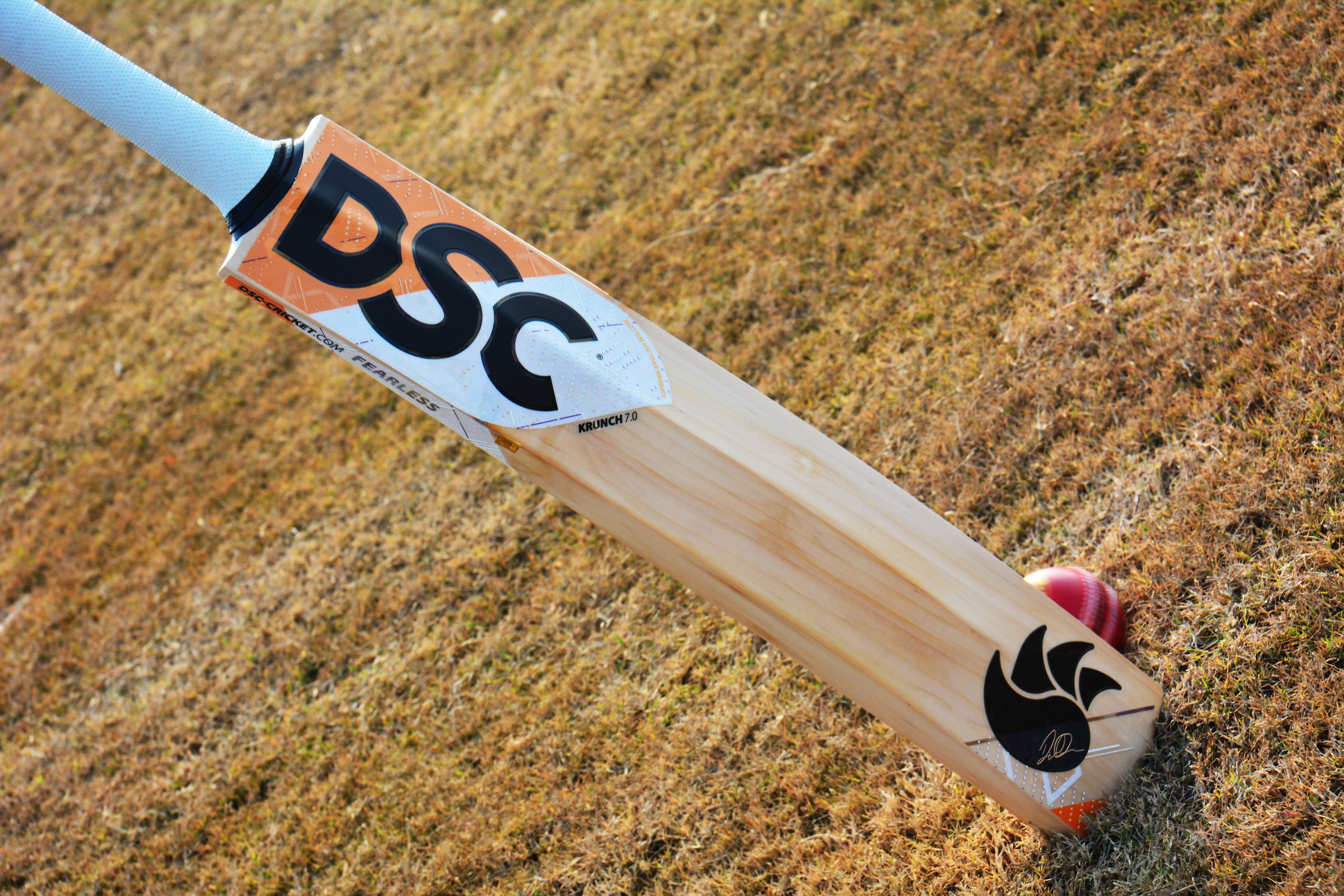 cricket bat and ball logo