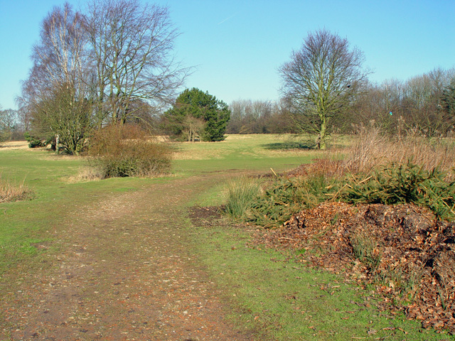 File:A green space amongst the roads - geograph.org.uk - 775829.jpg