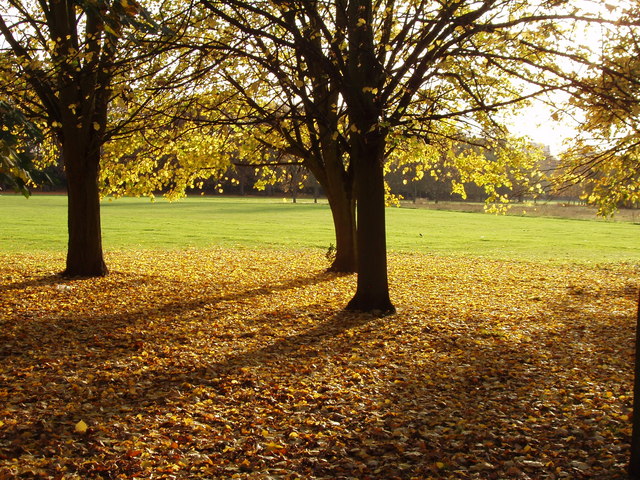 File:Autumn in Gunnersbury Park - geograph.org.uk - 1565431.jpg