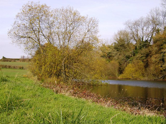 File:Binsted fish ponds - geograph.org.uk - 623526.jpg