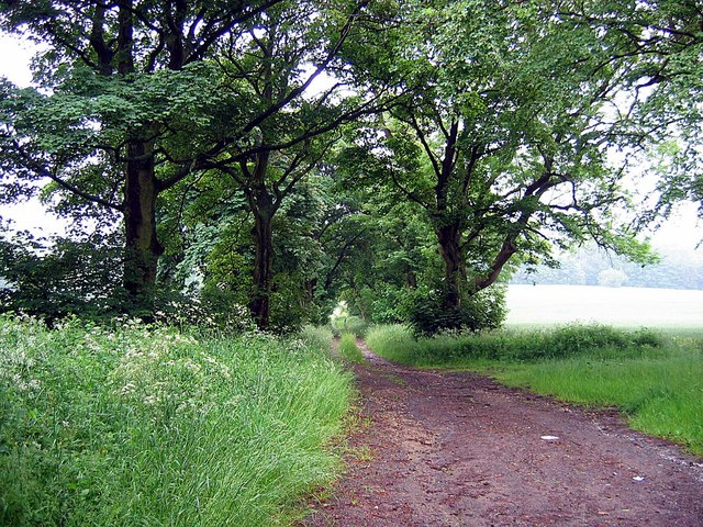 File:Bridleway to Elemore School - geograph.org.uk - 464355.jpg