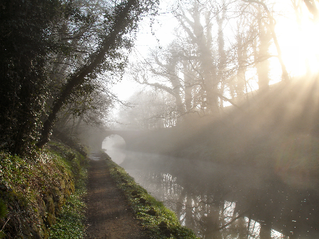 early spring morning