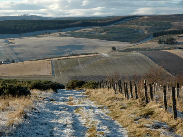 Footpath on Corrie Hill - geograph.org.uk - 1064658