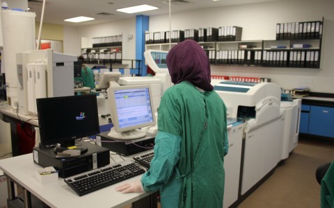 laboratory analysis performed on a blood sample