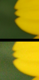 File:ISO comparison 150px.jpg