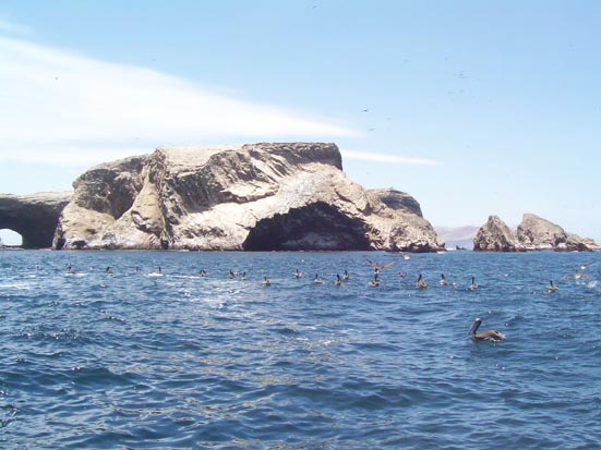 File:Islas Ballestas, Pisco.jpg