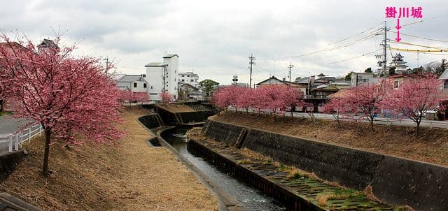 File:Kakegawa sakagawa.jpg