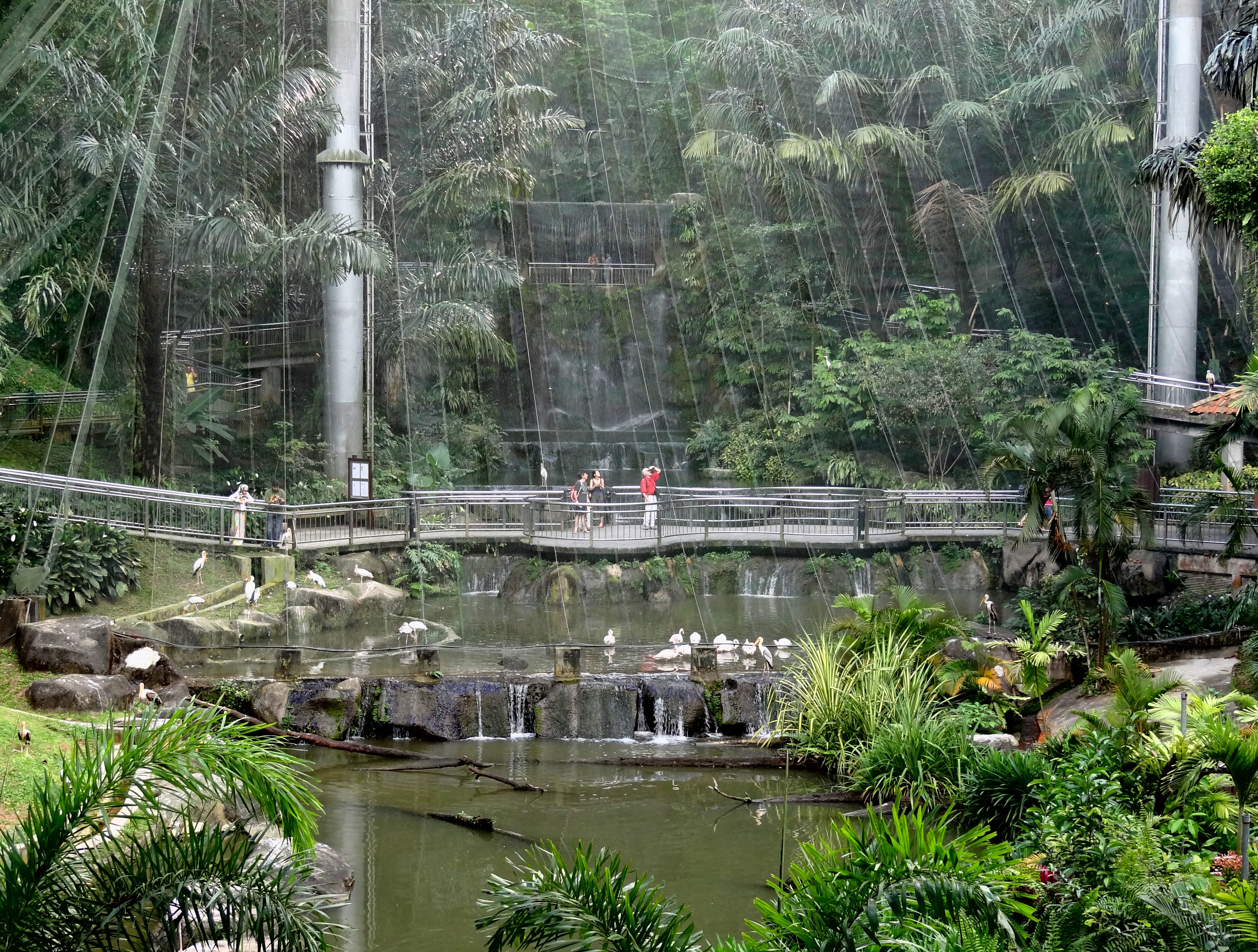 Kuala lumpur bird park