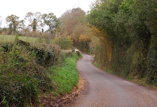 File:Lane at Ash Priors - geograph.org.uk - 1593878.jpg