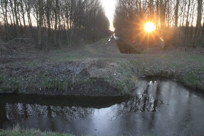 File:Malledijk in Spijkenisse met het mallebos..jpg