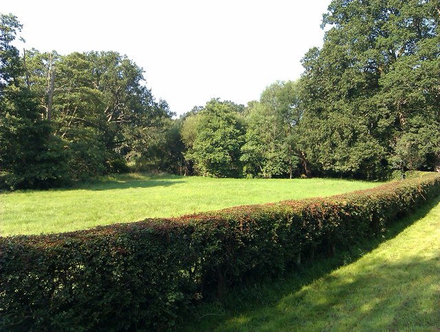 File:Meadow beside Wangfield Lane - geograph.org.uk - 3054079.jpg