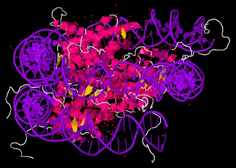 File:Nucleosome core particle 1EQZ v.2.gif