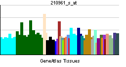 File:PBB GE ADRA1D 210961 s at tn.png