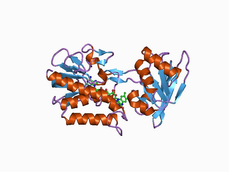 File:PDB 1cl0 EBI.jpg