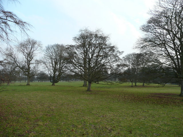 File:Parkland at Tedsmore Hall - geograph.org.uk - 647750.jpg