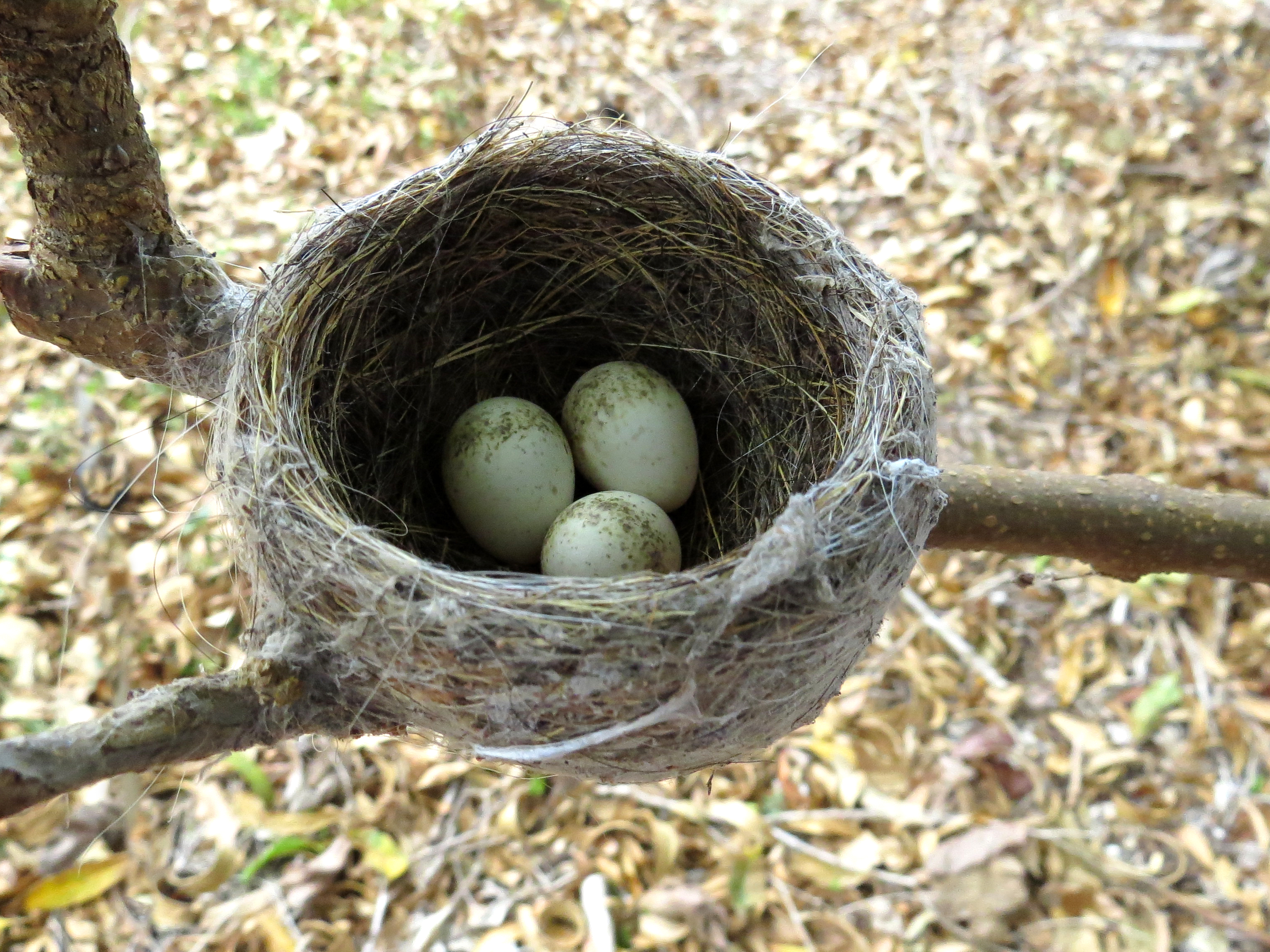 Their nests. Гнездо Garden story fb-100cm.