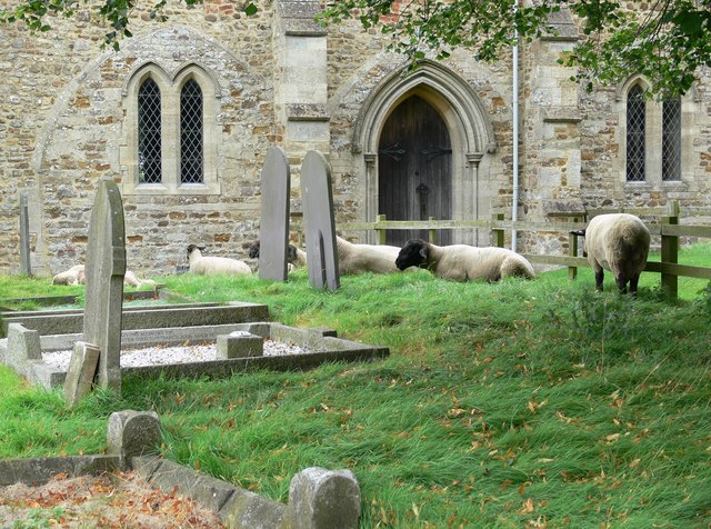 File:Sheep in the graveyard of St. Luke, Laughton - geograph.org.uk - 545373.jpg