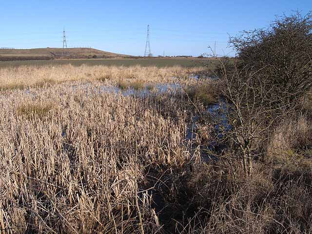 File:Site of the Hotspur Brickworks - geograph.org.uk - 1735141.jpg