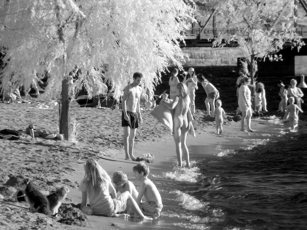 Cfnm Vintage Ymca Nude Swimming