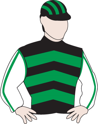 <span class="mw-page-title-main">Ultra Thoroughbred Racing</span>