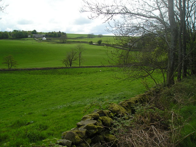 File:View across the valley, Merkland Burn in the hollow - geograph.org.uk - 432351.jpg