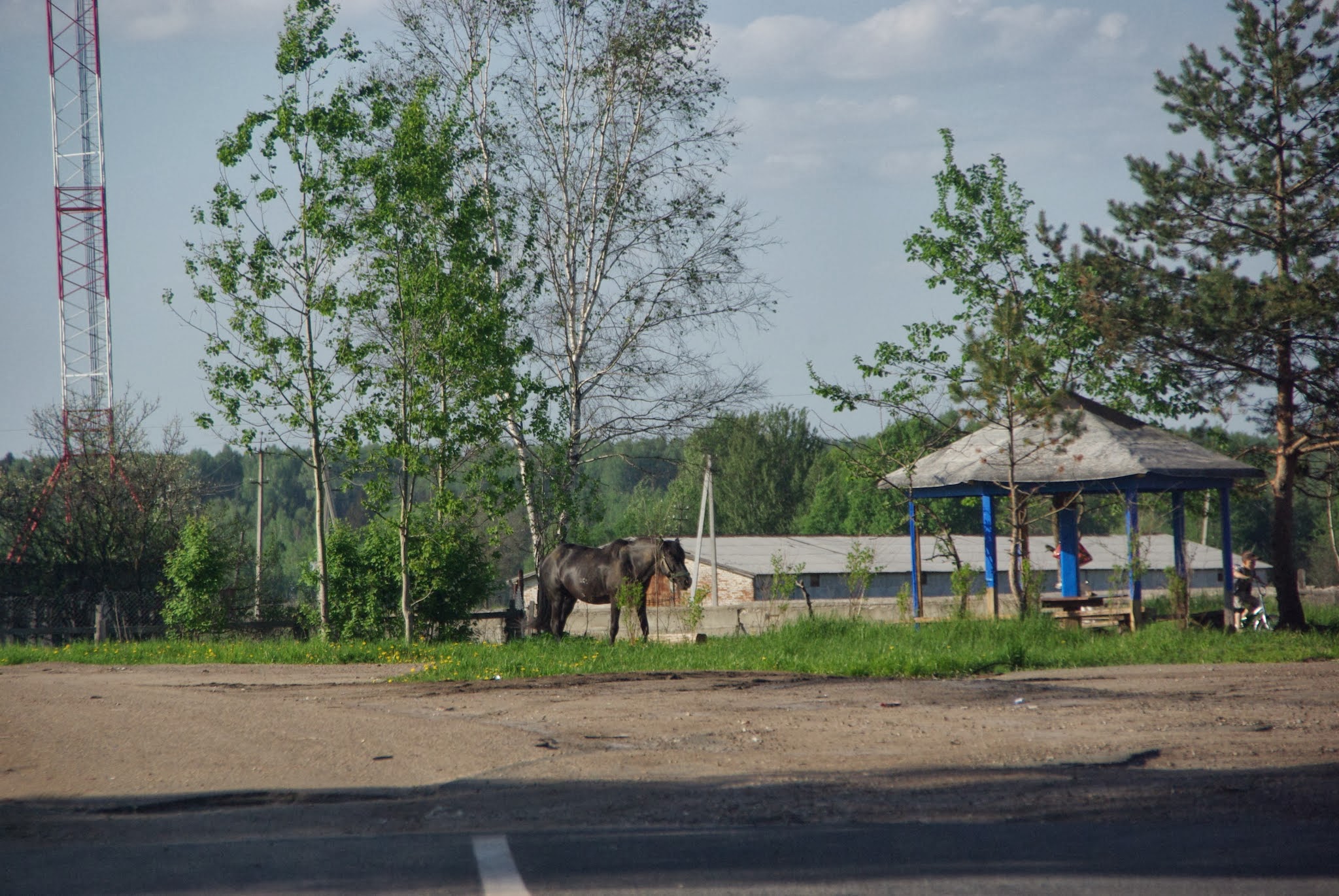 Погода жуково смоленская область