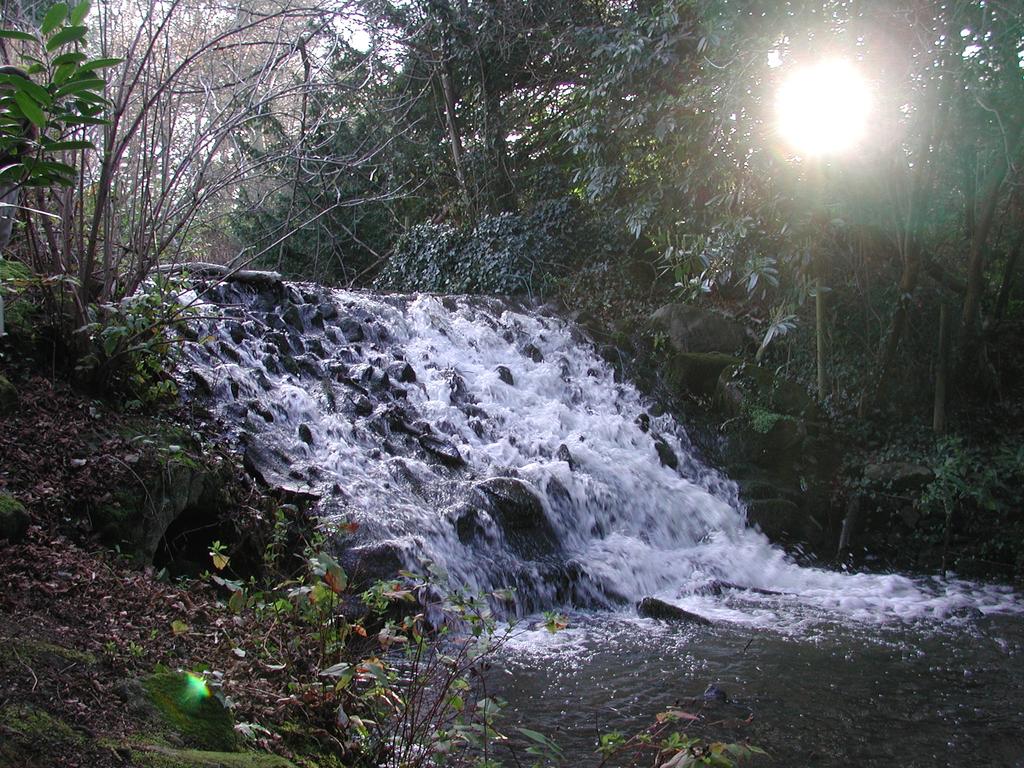 Marlay Park Wikipedia